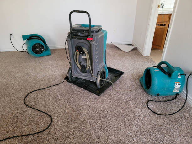 Best Commercial water damage restoration  in Bethalto, IL