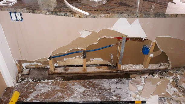 Best Water damage restoration mold remediation  in Bethalto, IL