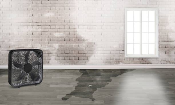 Best Fire Damage Restoration  in Bethalto, IL