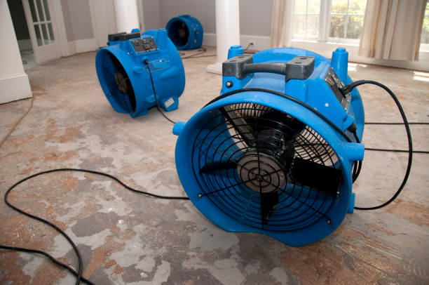 Best Commercial water damage restoration  in Bethalto, IL