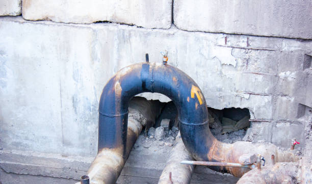 Best Water damage mitigation services  in Bethalto, IL